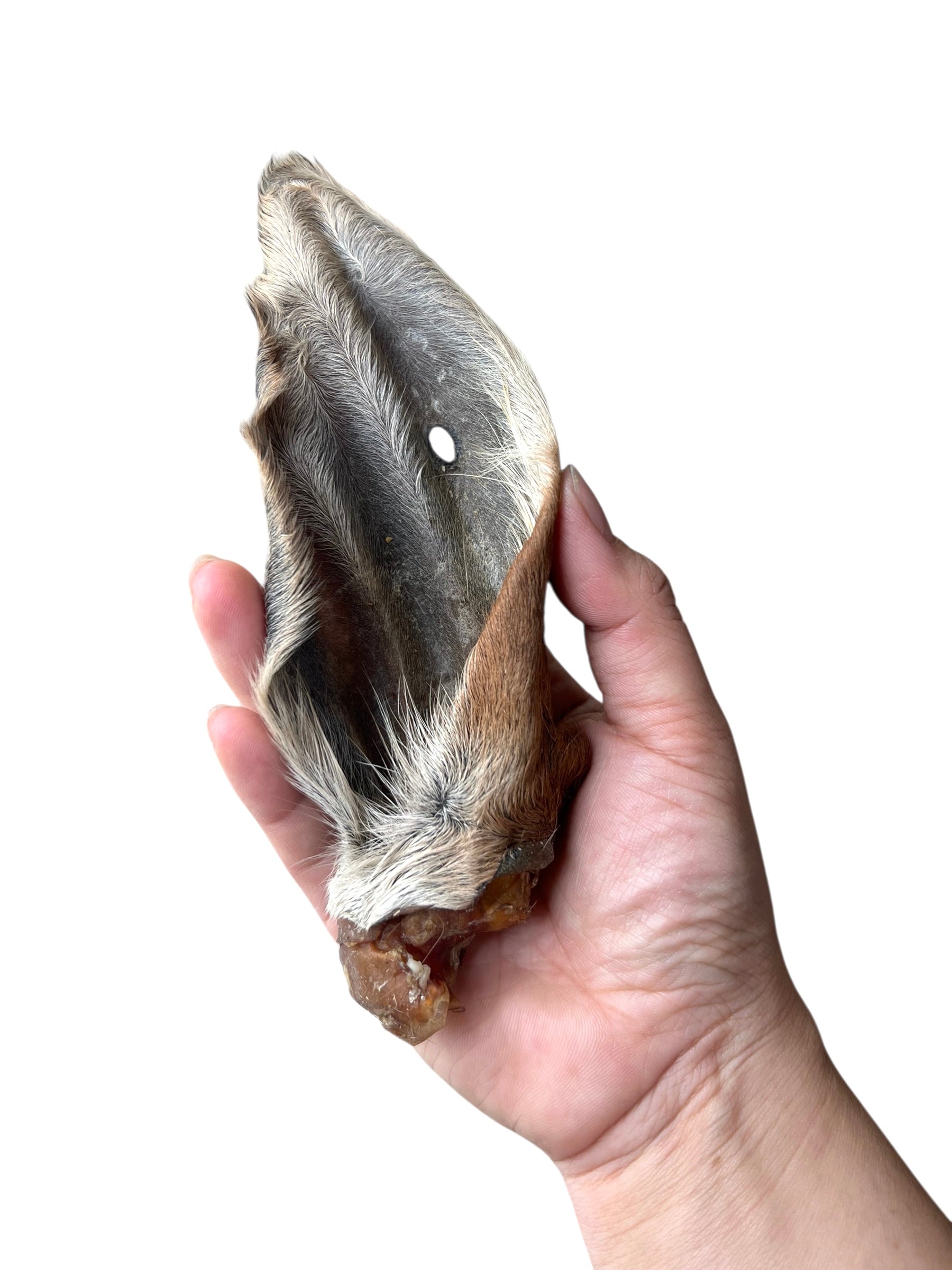 Air Dried Calf Ears